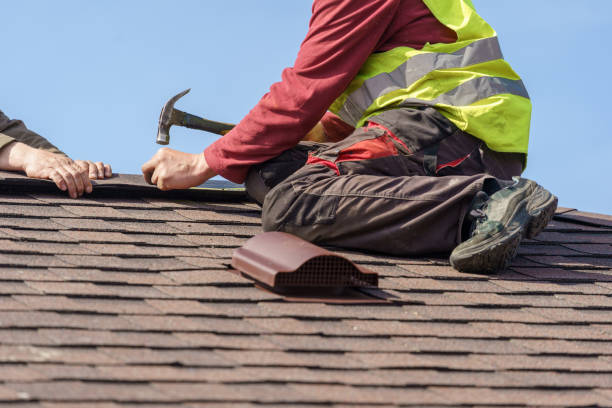 Best Roofing Contractor Near Me  in Brown City, MI