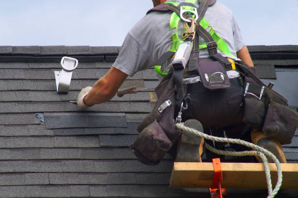 Best Best Roofing Contractors  in Brown City, MI