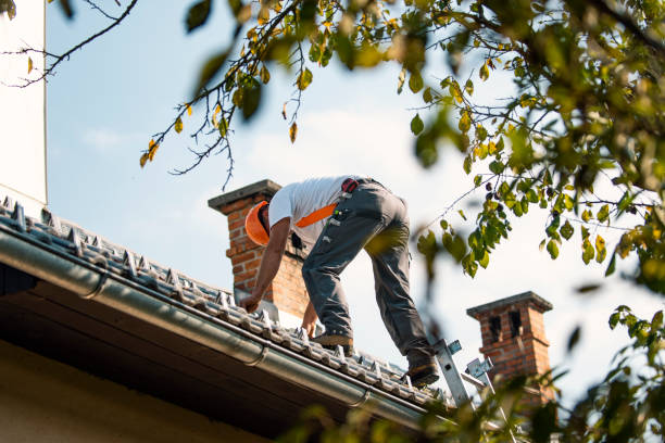 Best Roof Leak Repair  in Brown City, MI