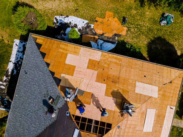 Best Emergency Roof Repair  in Brown City, MI