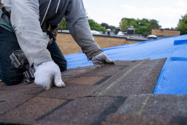 Best Slate Roofing Contractor  in Brown City, MI