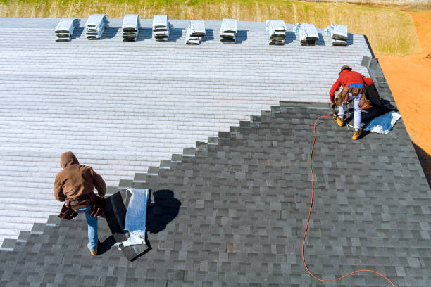 Best Roof Maintenance Services  in Brown City, MI