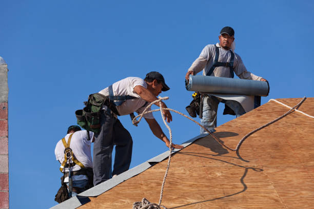 Professional Roofing Contractor in Brown City, MI