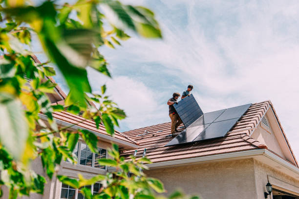 Best Roof Gutter Cleaning  in Brown City, MI