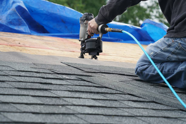 Best Roof Restoration Services  in Brown City, MI
