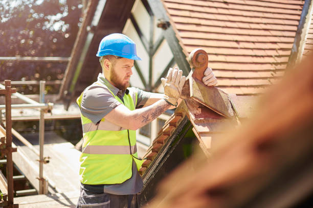 Best Affordable Roofing Company  in Brown City, MI