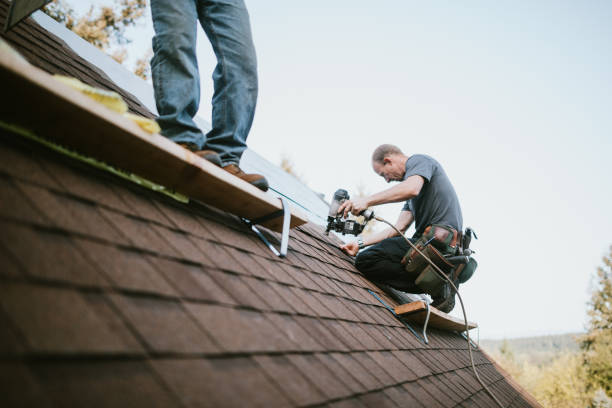 Best Flat Roof Repair Services  in Brown City, MI