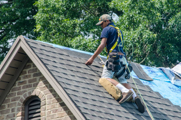 Best Roof Restoration Services  in Brown City, MI